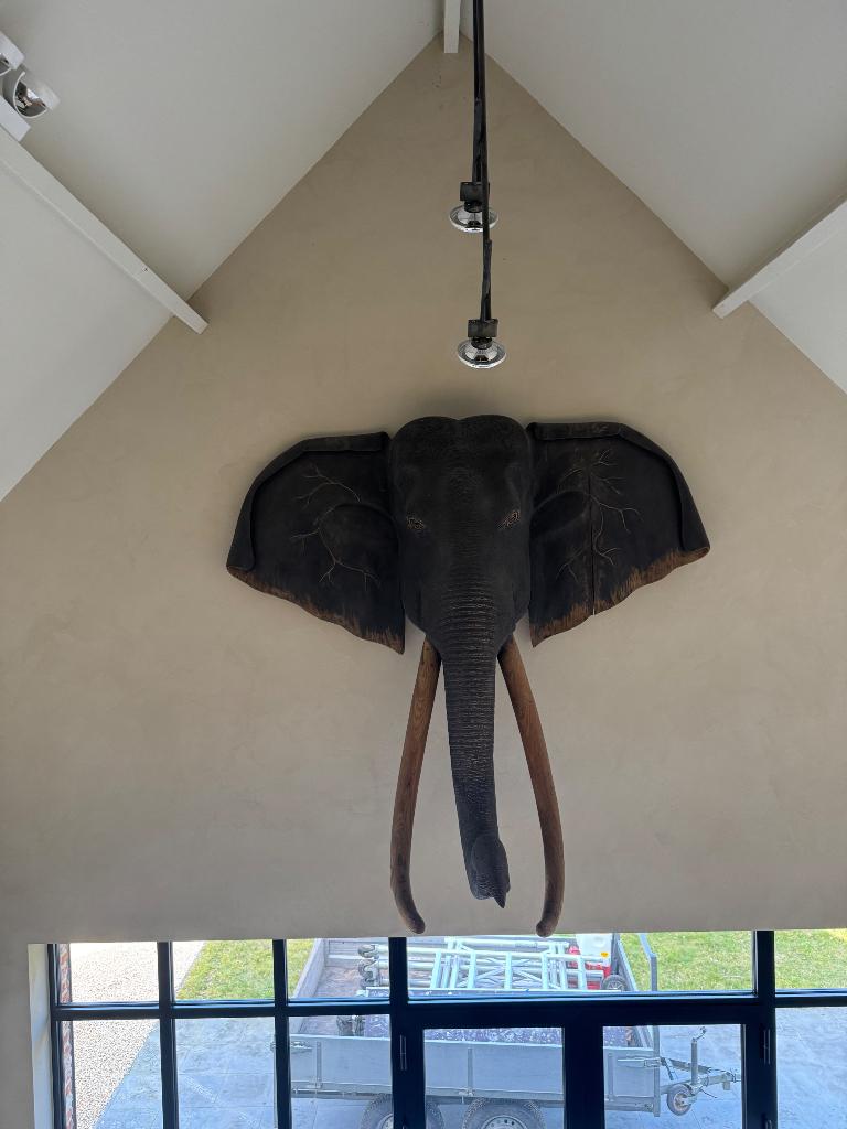 Massief hout olifant wanddecoratie wall art wandsculptuur, Ophalen, Wandsculptuur, Hout, Zo goed als nieuw