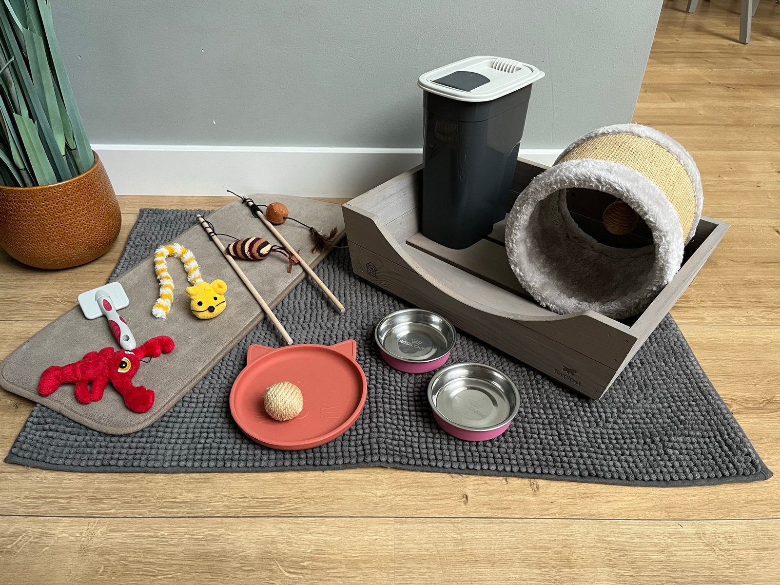 ==Bijna Nieuw== Kitten pakket mand, voerbakjes speelgoed bal, Ophalen of Verzenden, Zo goed als nieuw