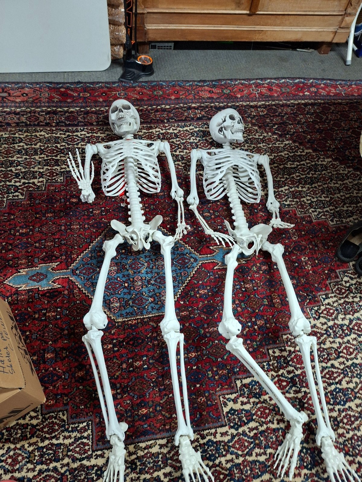 Grote partij Halloween decoratie 2 grote skeletten en feesta, Ophalen of Verzenden, Gebruikt, Versiering, Halloween of Griezel