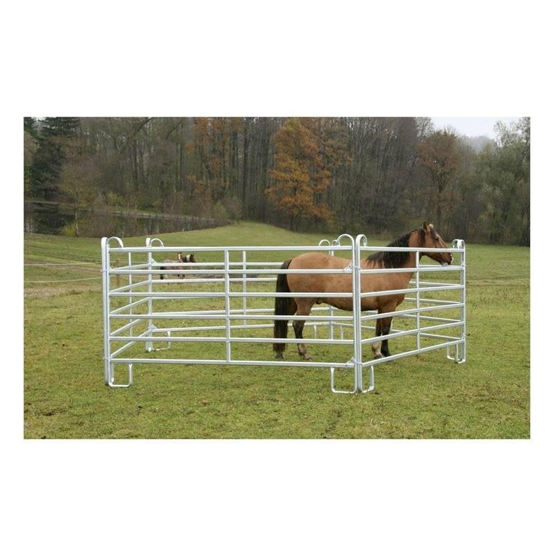 Vangkraal, vanghekpanelen, Meerdere dieren, Schaap