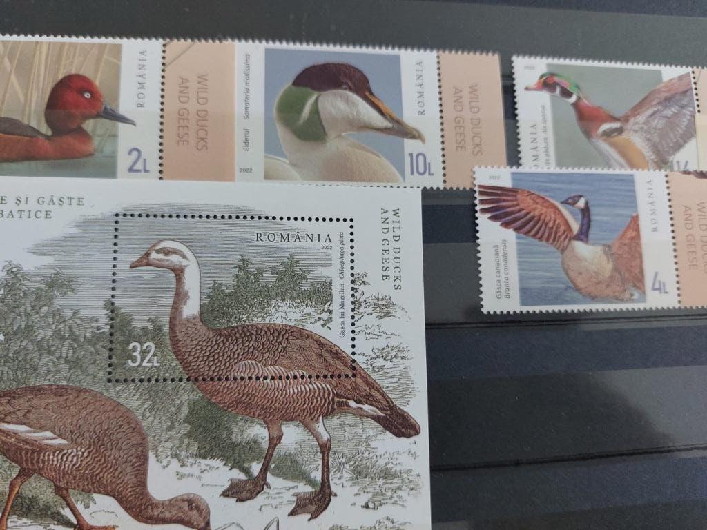 Eenden,ganzen  Roemenie, Verzenden, Postfris, Dier of Natuur