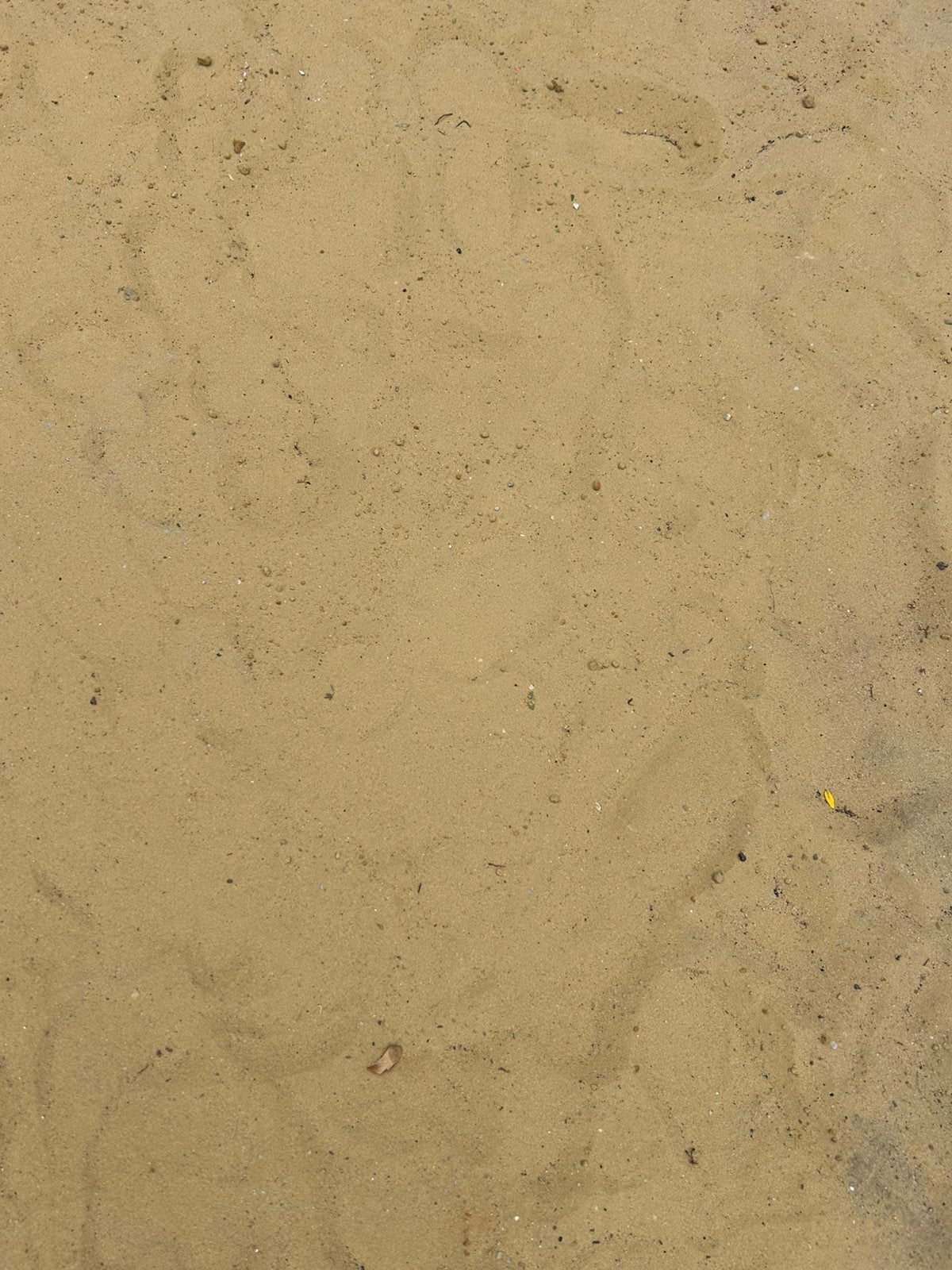 GRATIS gele zand, Tuin en Terras, Ophalen, Ophoogzand