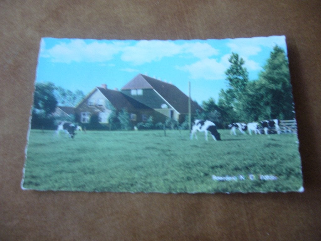 N.O. POLDER  =  BOERDERIJ MET KOEIEN, Ophalen of Verzenden, 1940 tot 1960, Gelopen, Flevoland