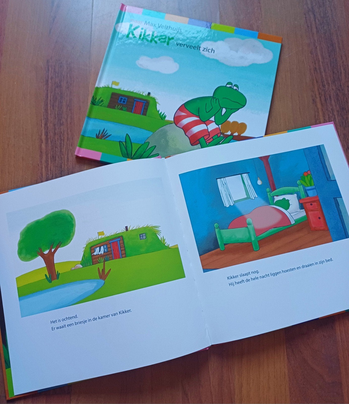 Peuter kleuter kinderboeken, Jongen of Meisje, Ophalen of Verzenden, Zo goed als nieuw, Voorleesboek