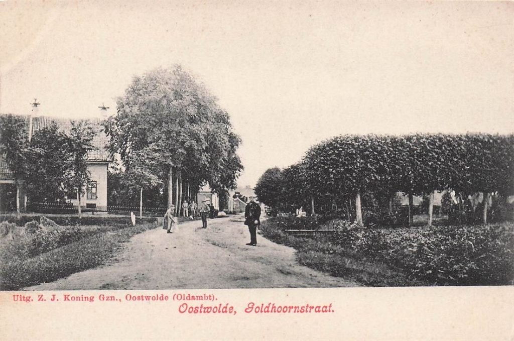 703-202-017 Oostwold (Oldambt) Oostwolde Goldhoornstraat, Verzenden, Voor 1920, Groningen