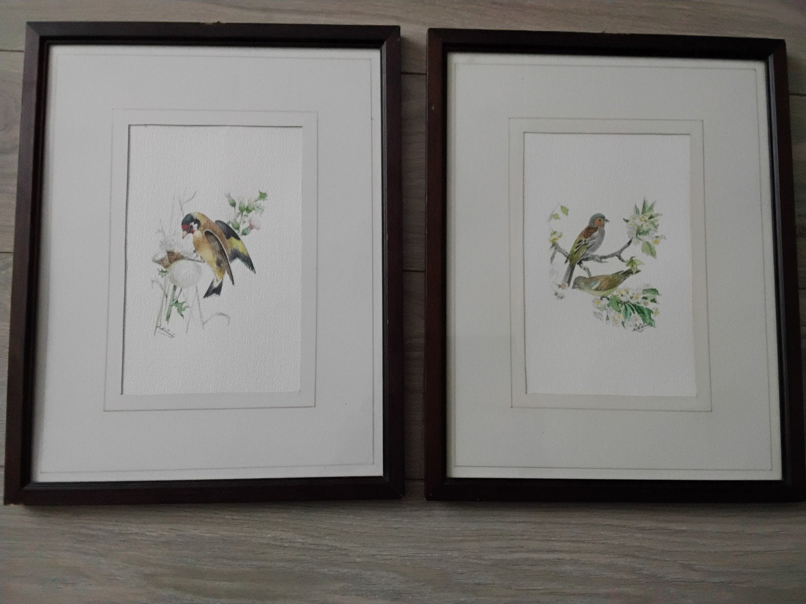 Aquarels vogels door Adriana Maria Lariby hofschilderes., Antiek en Kunst, Kunst | Schilderijen | Klassiek, Ophalen of Verzenden