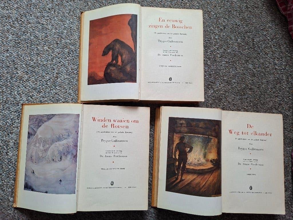 Bjørndal-trilogie/epische familiesaga/1933, Boeken, Verzenden, Gelezen, Trygve Gulbranssen