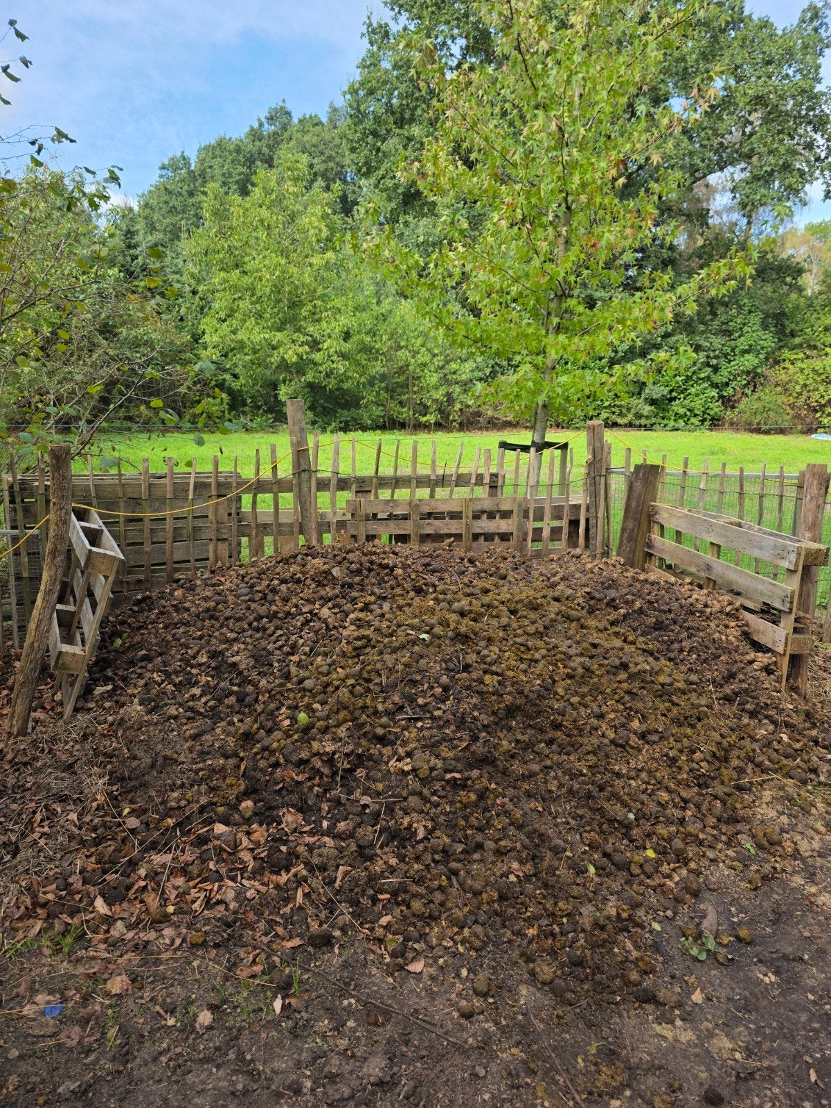pure paardenmest, Tuin en Terras, Ophalen, Mest