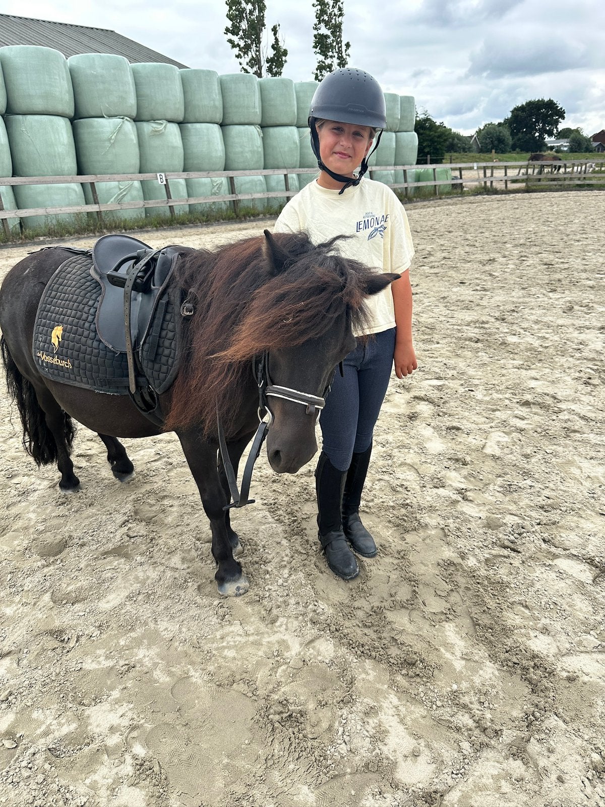 Verzorgpony gezocht, Ruiter of Bijrijder