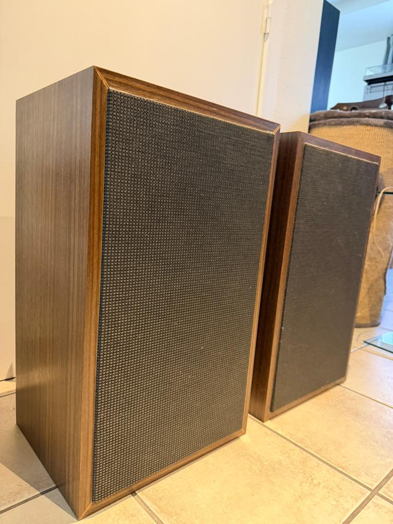 Vintage Coral PA-luidsprekers (70’) - 10” H-152S + Flat-8, Audio, Tv en Foto, Luidsprekers, Zo goed als nieuw, 120 watt of meer