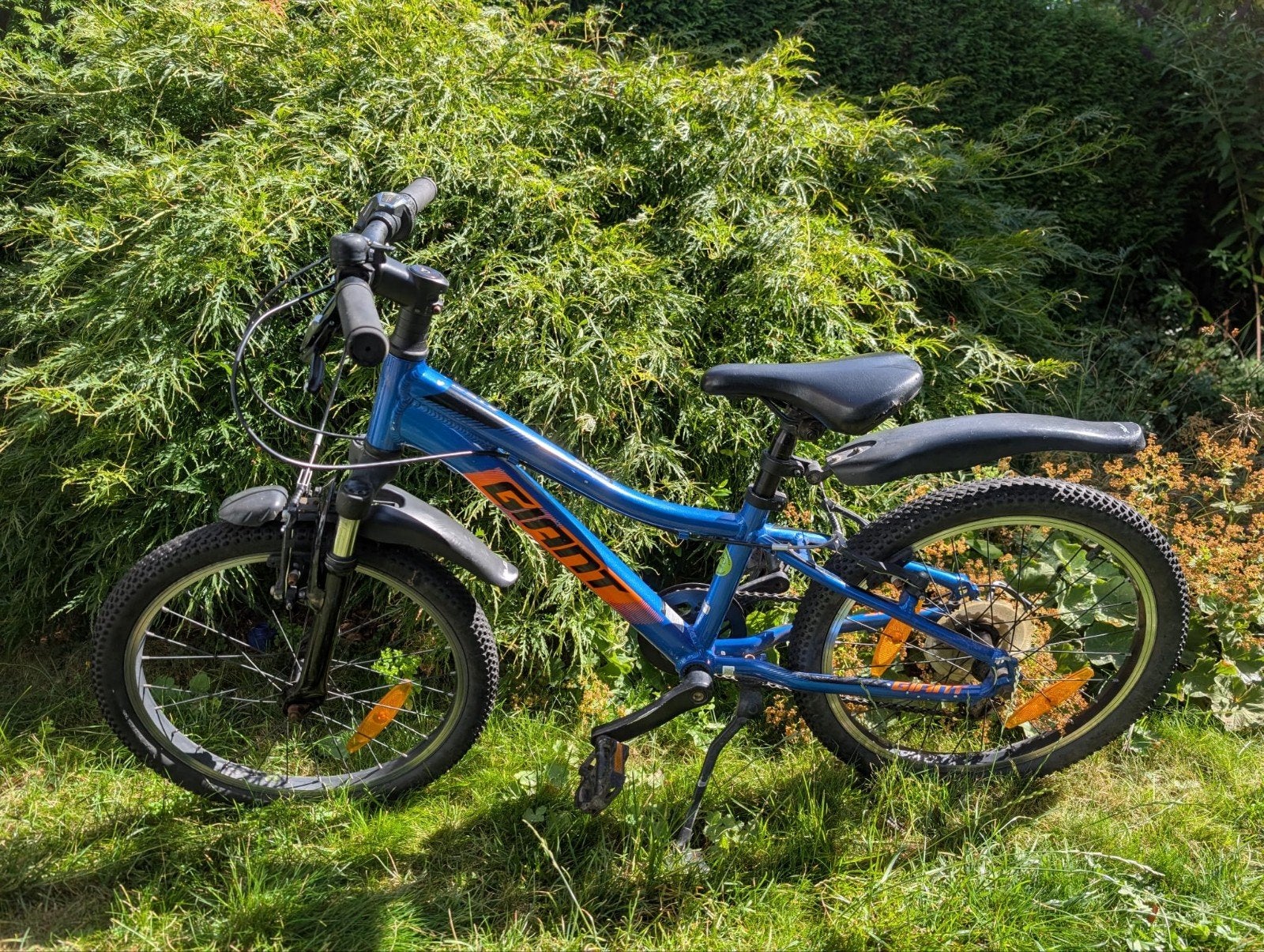 Kinderfiets Giant 20 inch, Ophalen, Gebruikt, 20 inch of meer, Giant