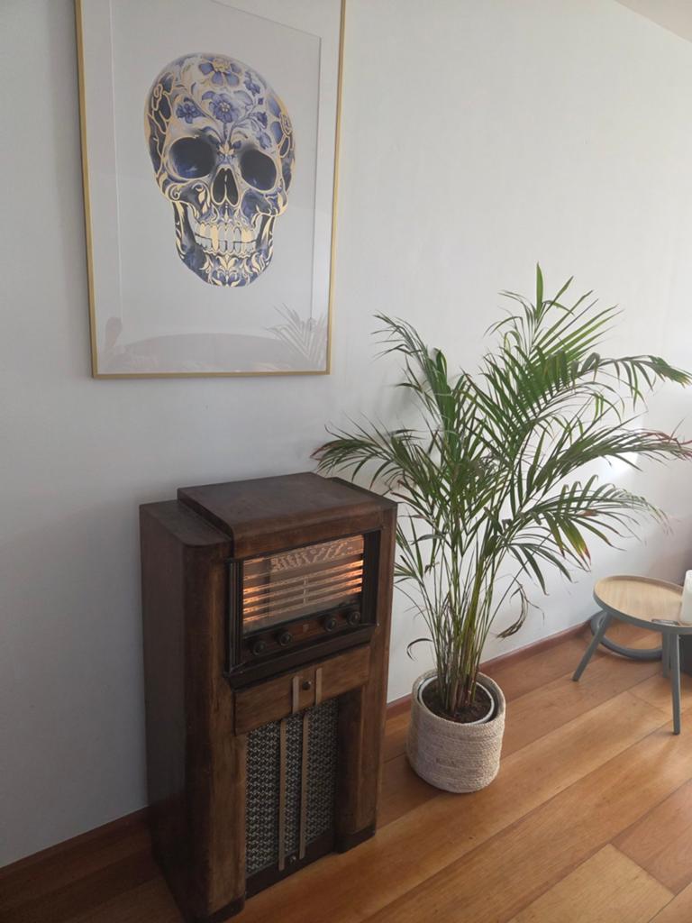 Zeldzame Philips buizenradio - Mooi decorstuk, Ophalen of Verzenden