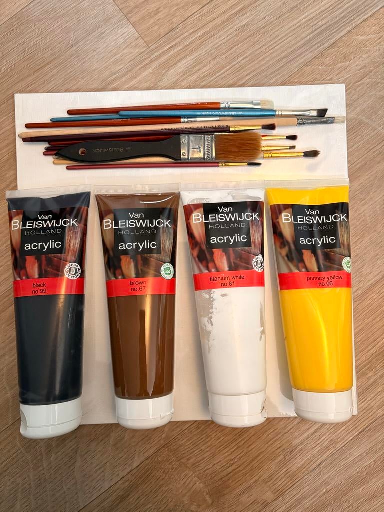 Schilderset: Acrylverf, Kwasten en Doeken, Hobby en Vrije tijd, Schilderen, Ophalen of Verzenden, Zo goed als nieuw, Acrylverf