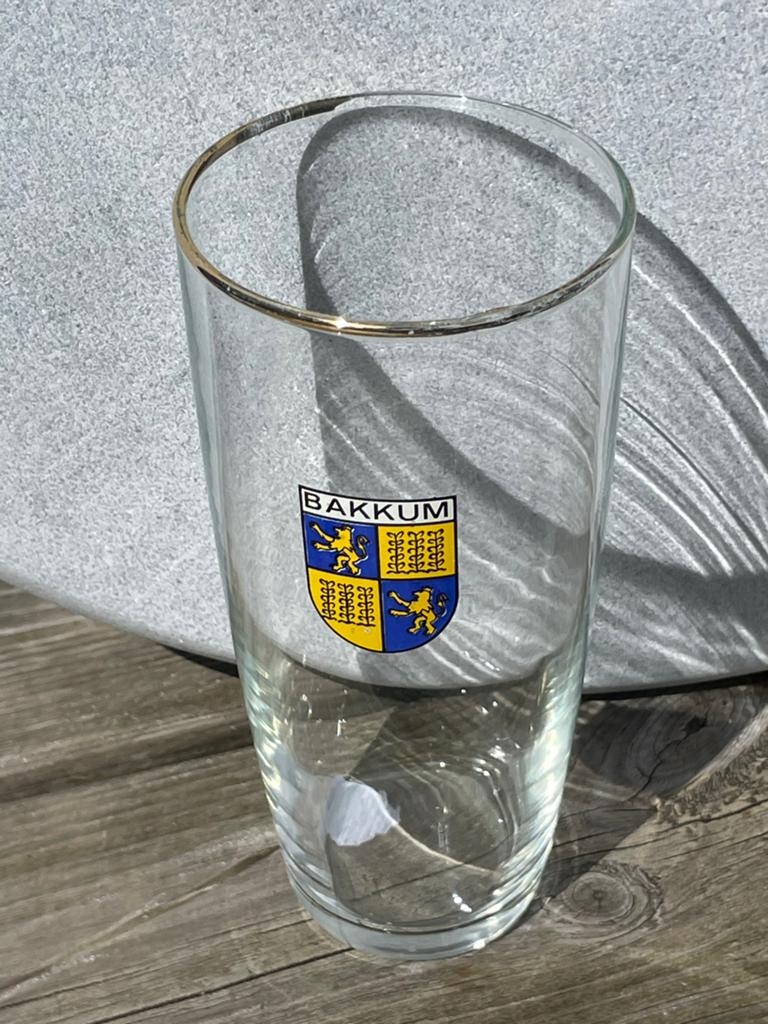 Bakkum Glas met Wapen - Vintage Verzamelobject, Antiek en Kunst, Ophalen of Verzenden