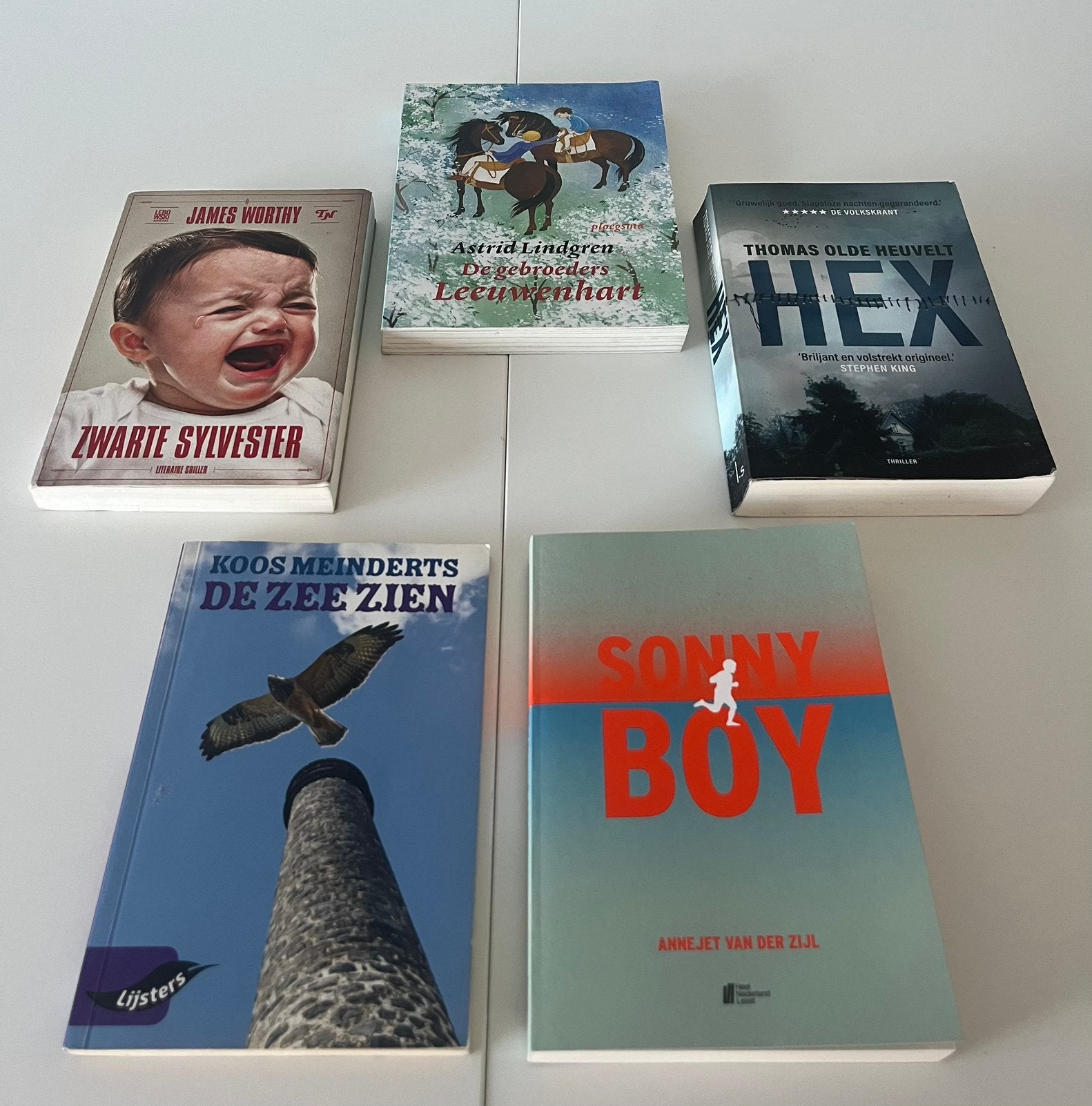Nederlands boeken als nieuw, Boeken, Ophalen of Verzenden, Zo goed als nieuw, Verhalen