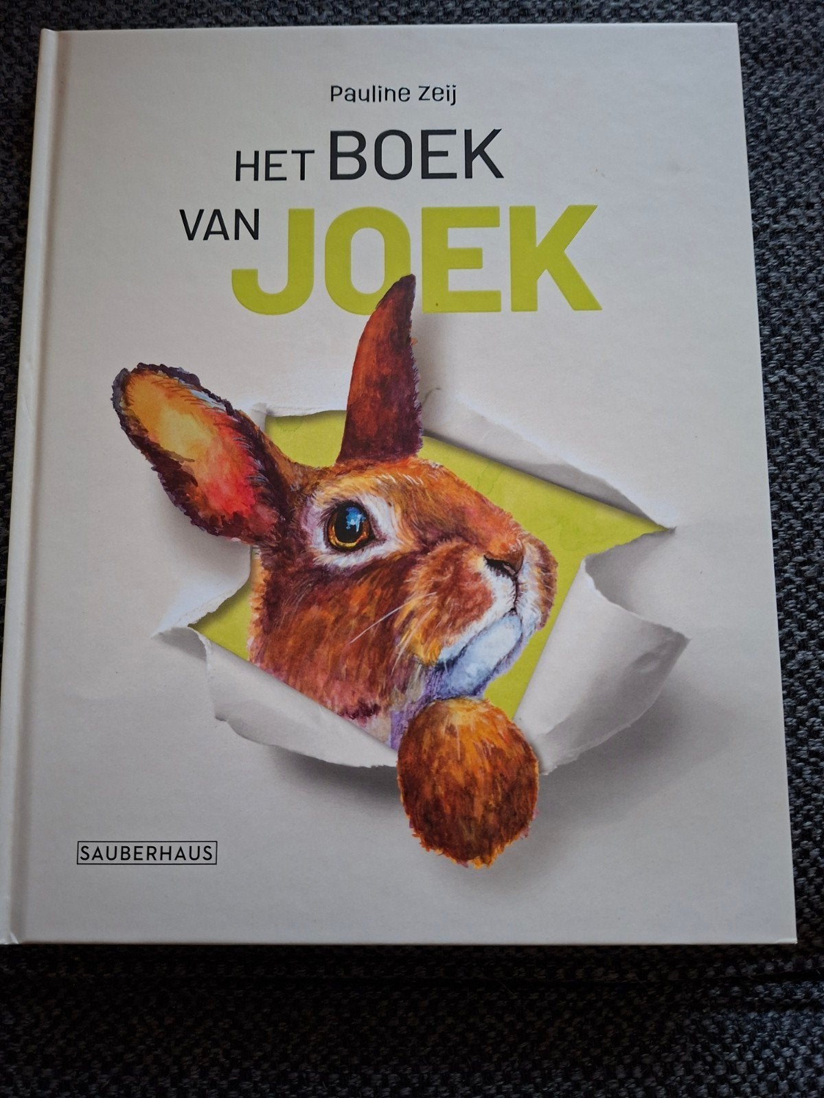 Het Boek van Joek - Pauline Zeij (Sauberhaus), Ophalen of Verzenden, Nieuw, Pauline Zeij, Fictie algemeen