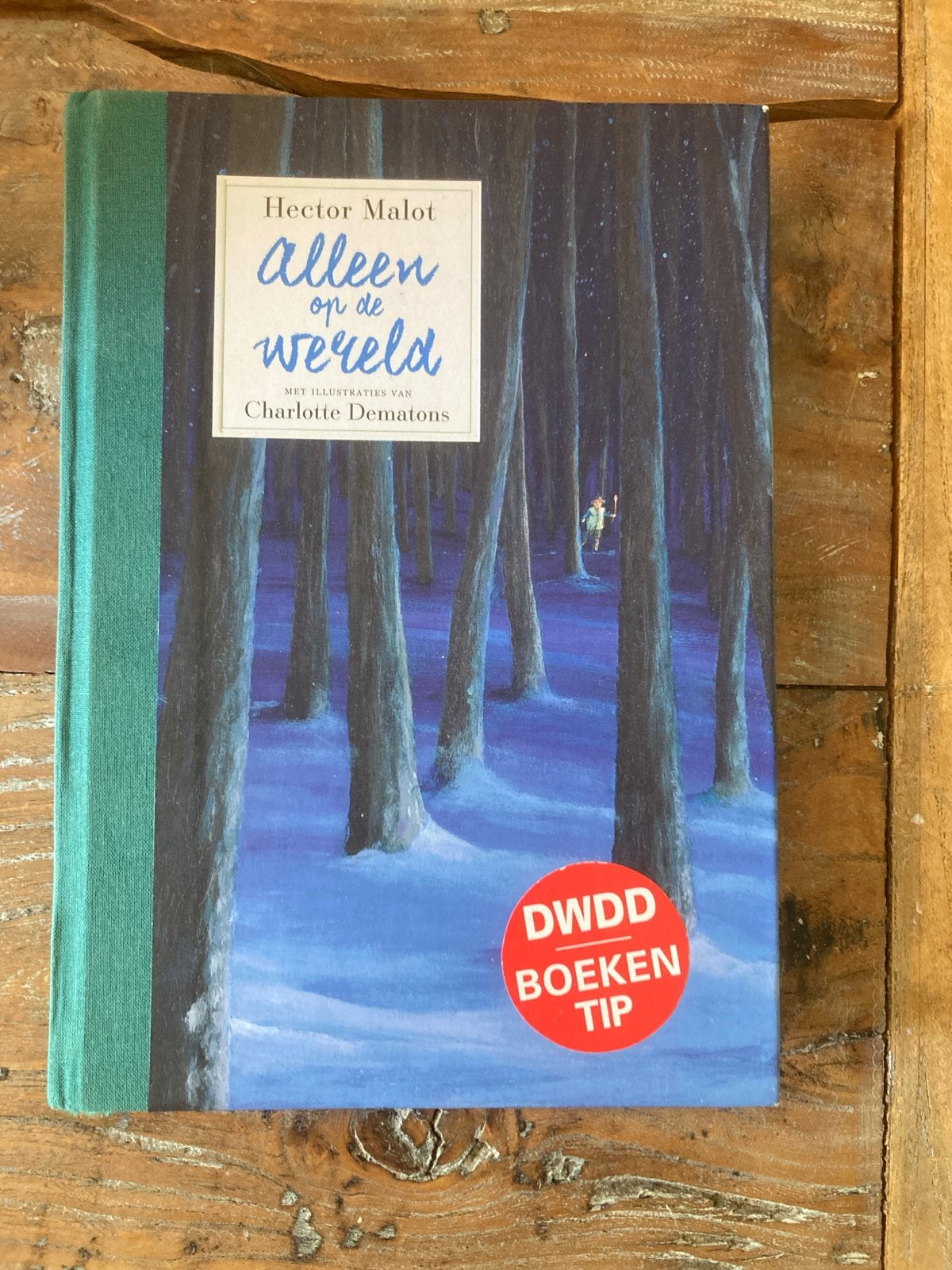 Alleen op de wereld - Hector Malot (DWDD Boeken Tip), Ophalen, Gelezen, Fictie algemeen