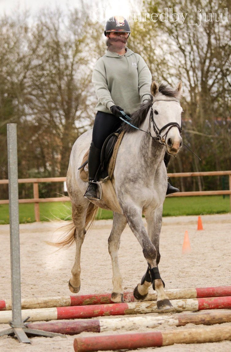 Bijrijd pony gezocht! Omgeving Enschede!, Ophalen of Verzenden