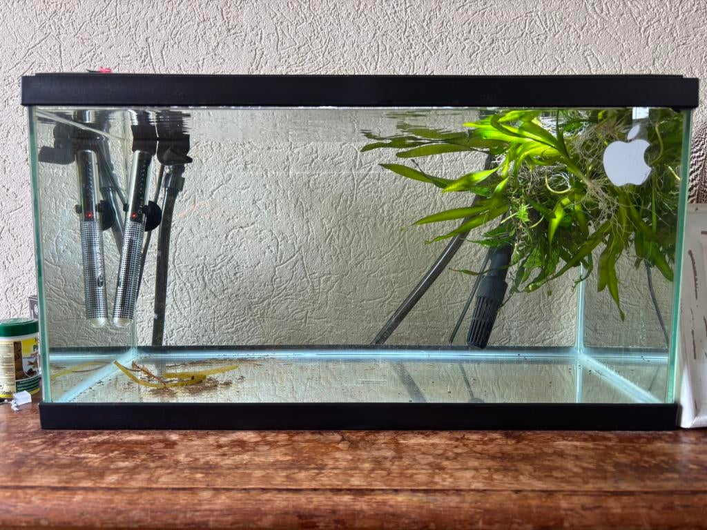 Ciano aquarium 60 liter + verwarming en extern filter, Ophalen of Verzenden, Gebruikt, Leeg aquarium