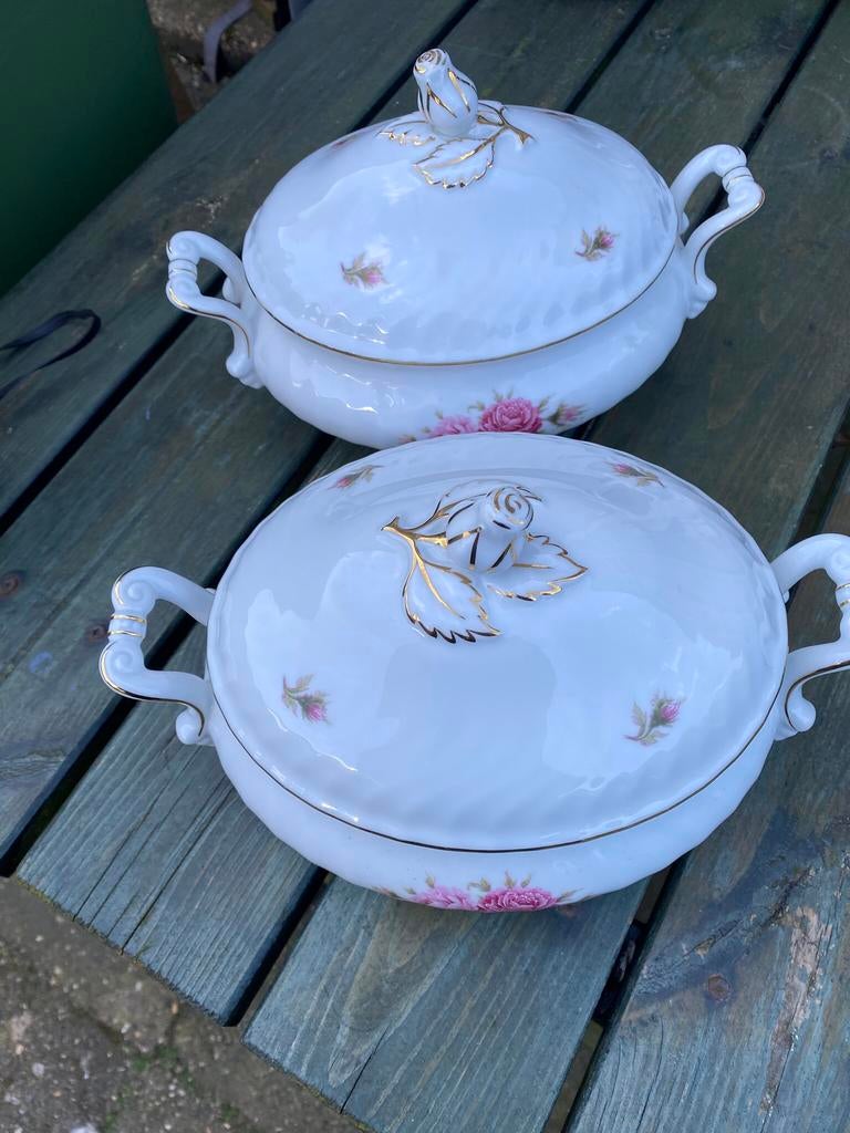 2 Dekschalen Kaiser Moosrose, Ophalen of Verzenden