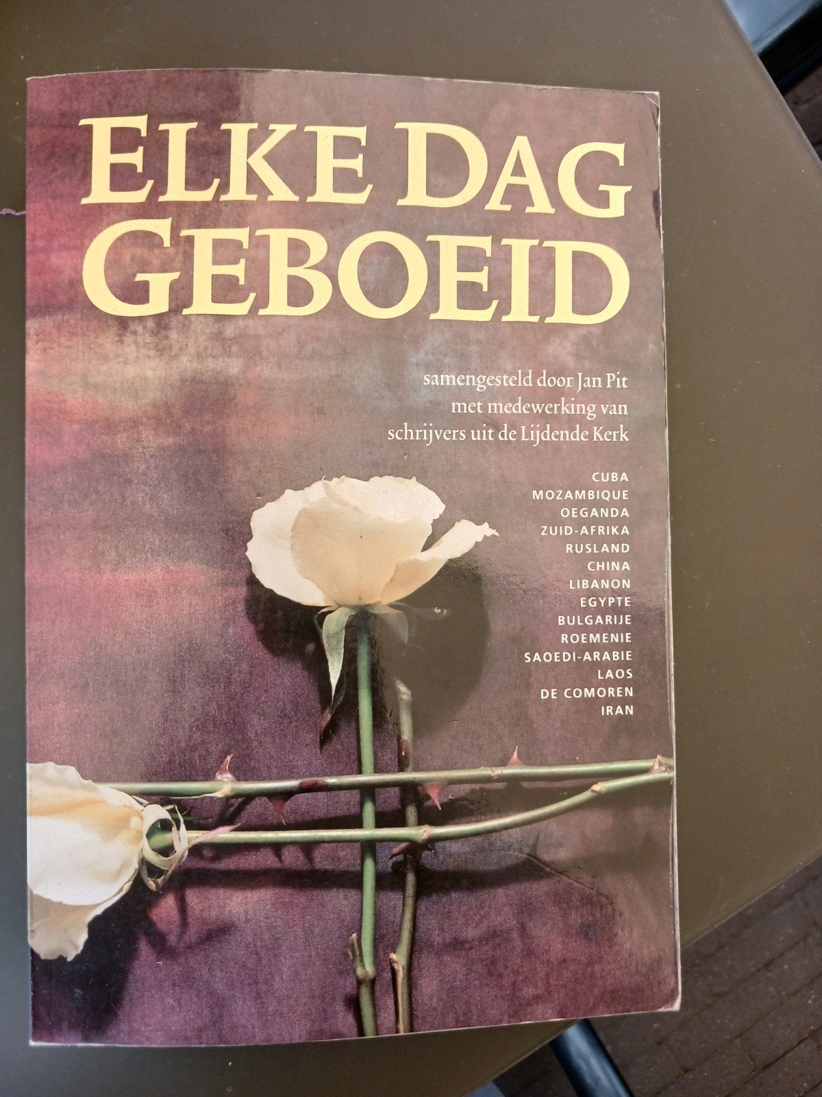 Elke Dag Geboeid - Dagboek van de Lijdende Kerk, Boeken, Ophalen of Verzenden