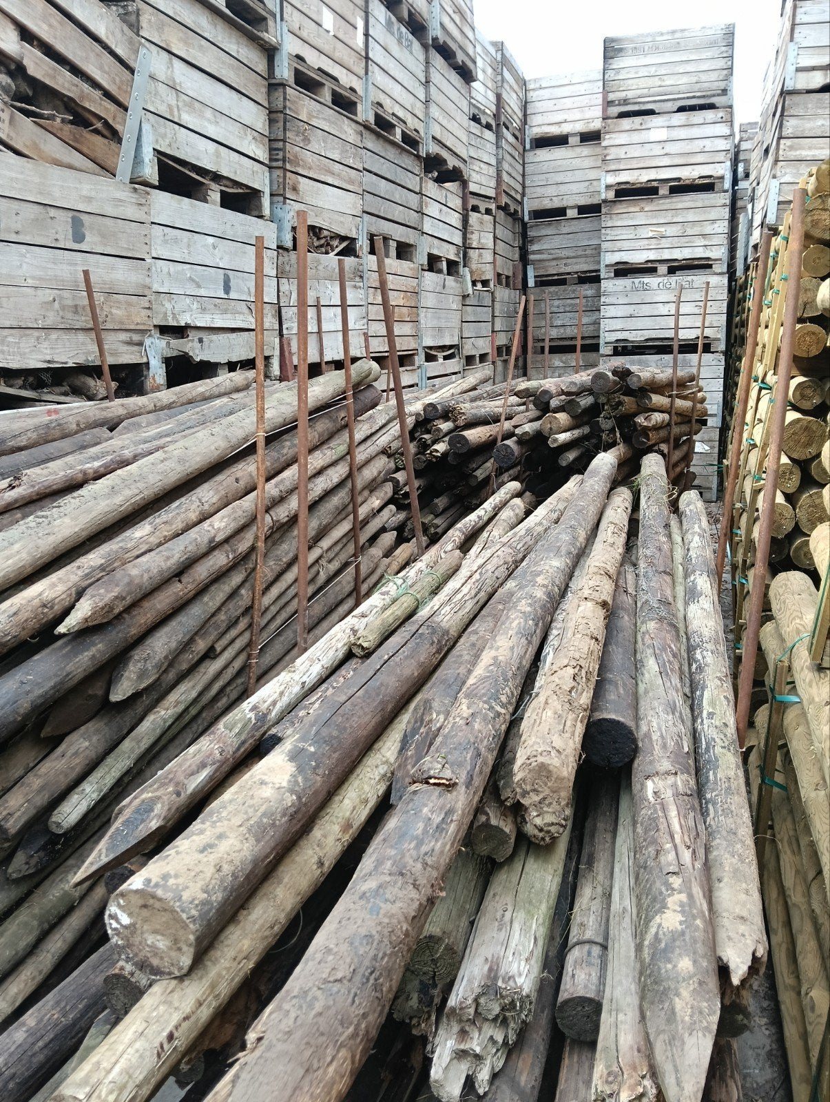 Houten palen voor diverse toepassingen, Ophalen, Gebruikt, 250 cm of meer, Palen