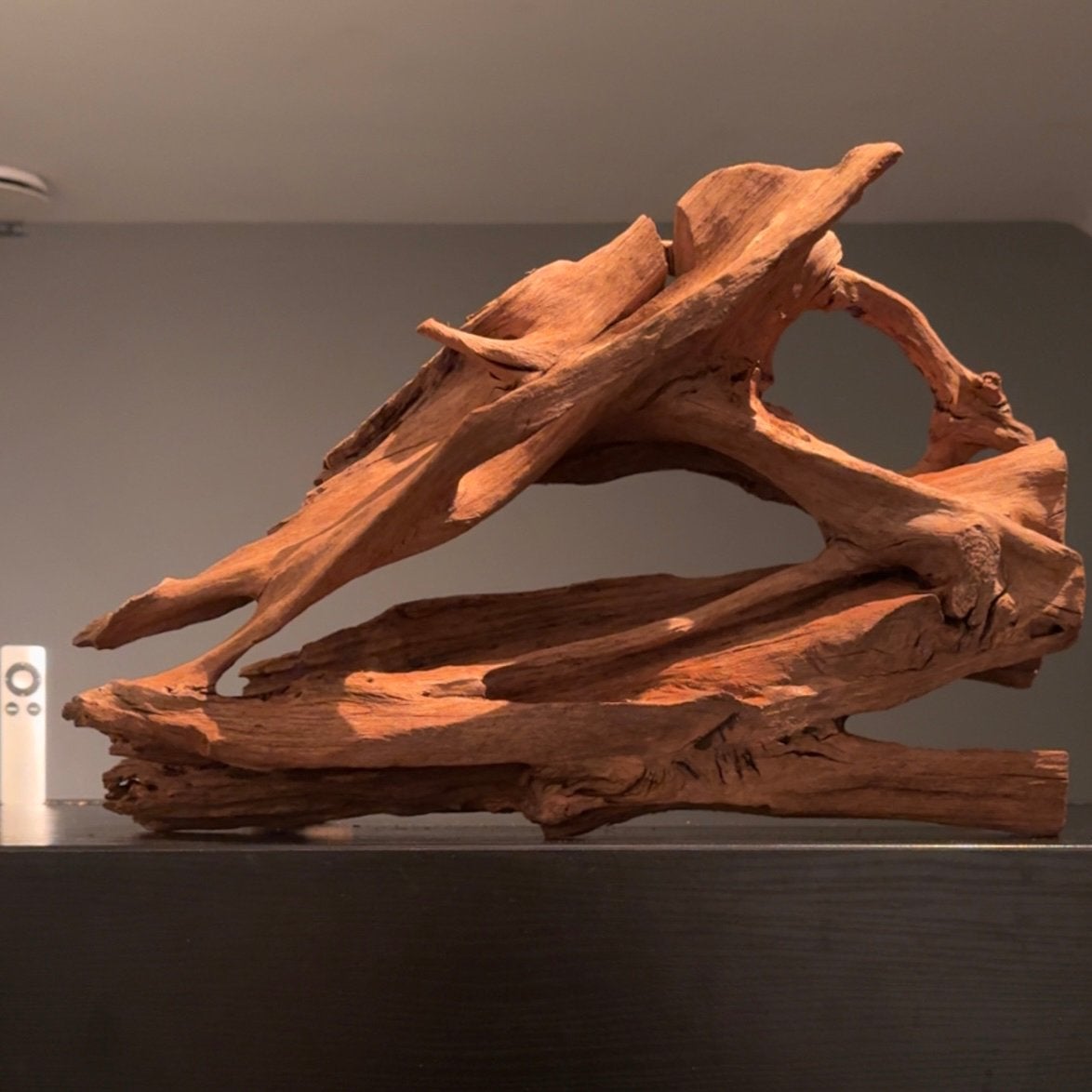 XL Stuk Kienhout / Spiderwood / Driftwood, Hout Decoratie, Ophalen of Verzenden, Zo goed als nieuw, Leeg aquarium