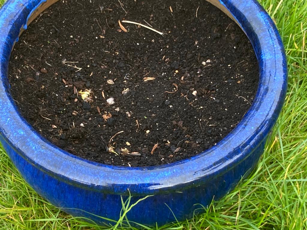T.K. 6 blauwe geglazuurde buitenpotten zie foto's, Ophalen, 40 cm of meer, Rond, Zo goed als nieuw