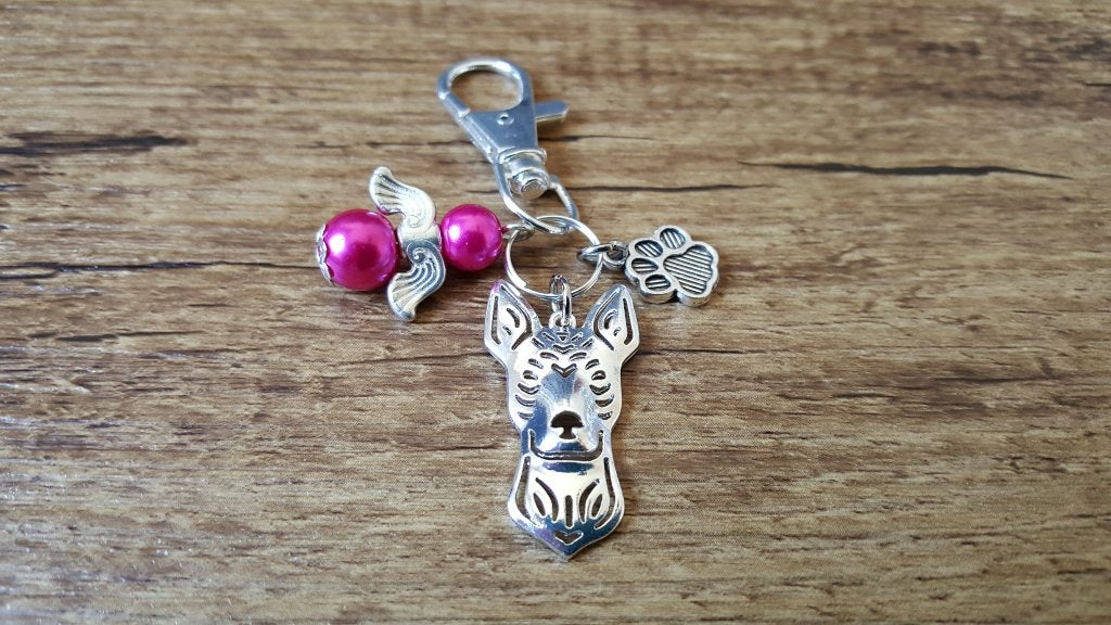 Sleutelhanger Mexicaanse naakthond silver plated engeltje, Verzenden, Nieuw, Dier of Natuur