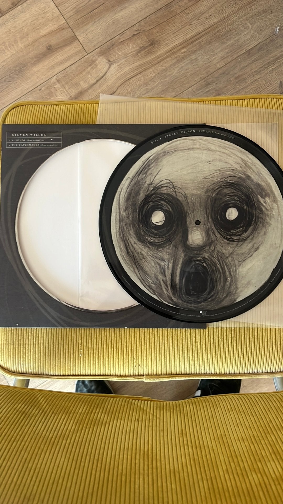 Steven Wilson - Luminol picture disc 12’’, Progressive Rock, Verzenden, Zo goed als nieuw, Picture disc