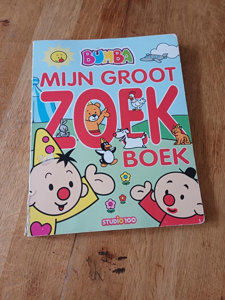 Gert Verhulst - Bumba; Mijn groot zoekboek, Ophalen, Gert Verhulst, Fictie algemeen, Zo goed als nieuw