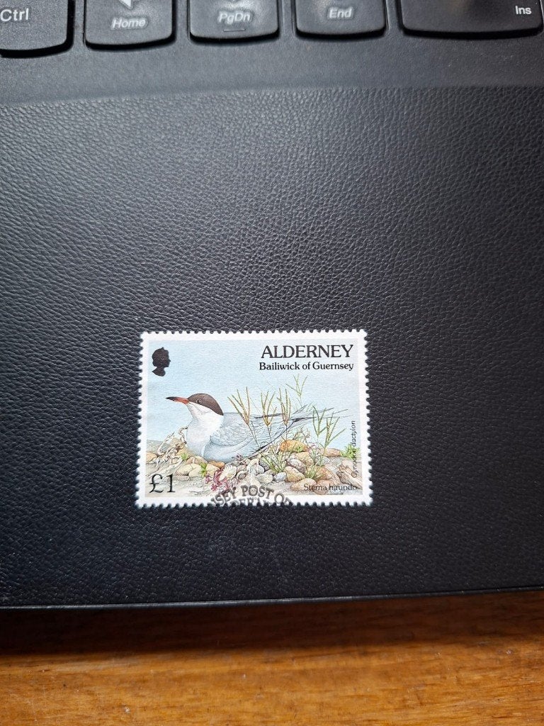 alderney gestempeld nrs 81, Ophalen of Verzenden, Gestempeld