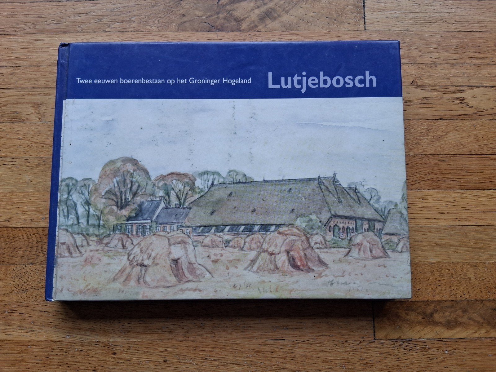 Lutjebosch 2 eeuwen boerenbestaan op het groninger hoogland, Ophalen of Verzenden, Zo goed als nieuw, C. Reinders; C. Bos