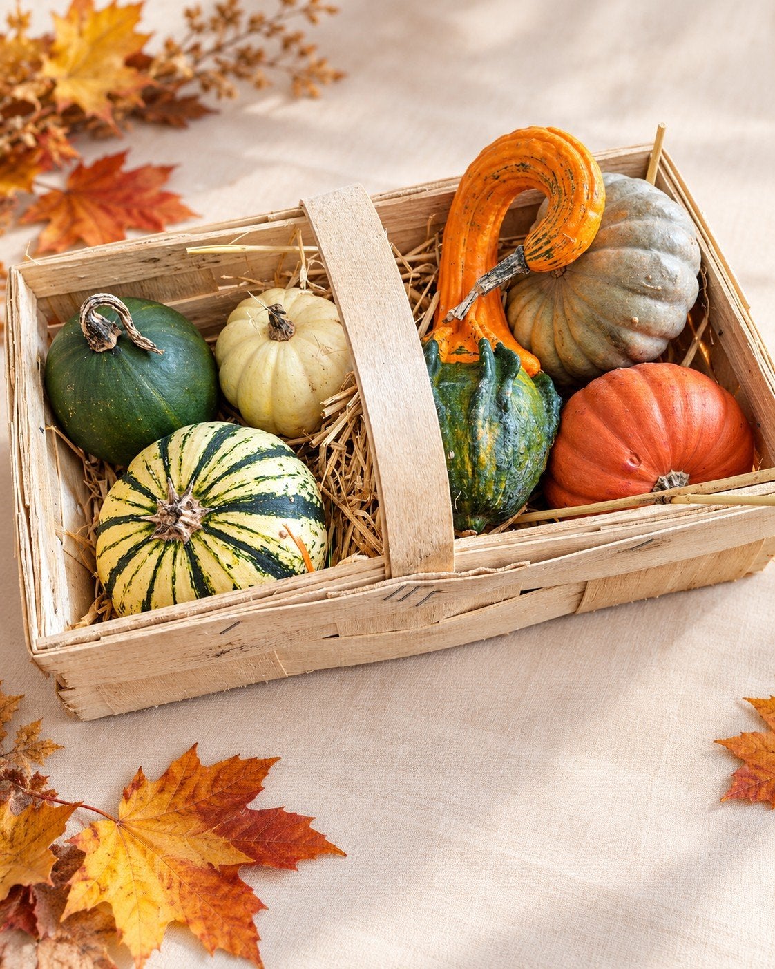 Set 7 sierpompoenen & kalebassen – herfstdecoratie Halloween, Verzenden, Zo goed als nieuw