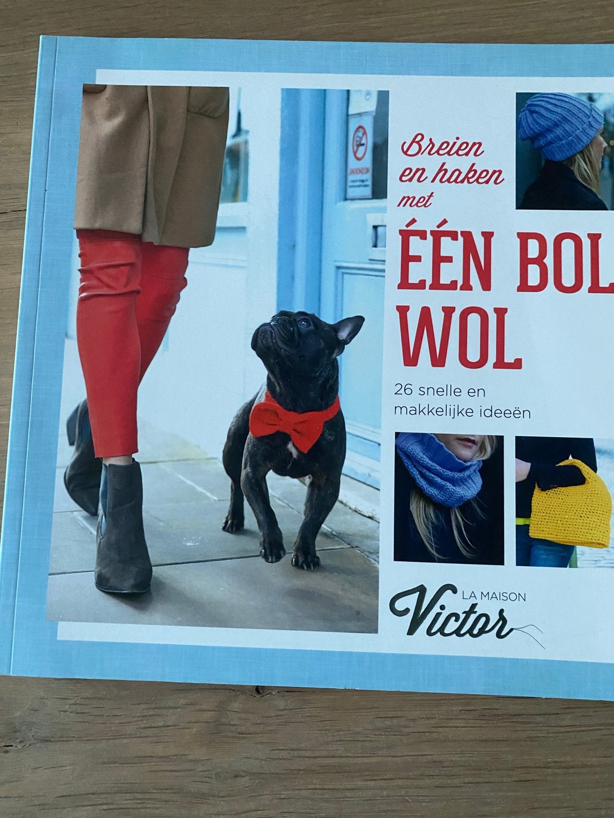 Breien en haken met één bol wol - La Maison Victor, Ophalen of Verzenden, Zo goed als nieuw, Breien en Haken