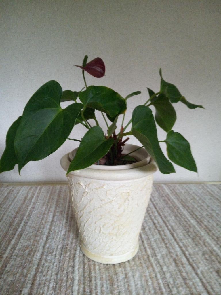 Mooie Bewerkte Terracotta Bloempot ZGAN !!!, Rond, Binnen, Ophalen of Verzenden, Zo goed als nieuw