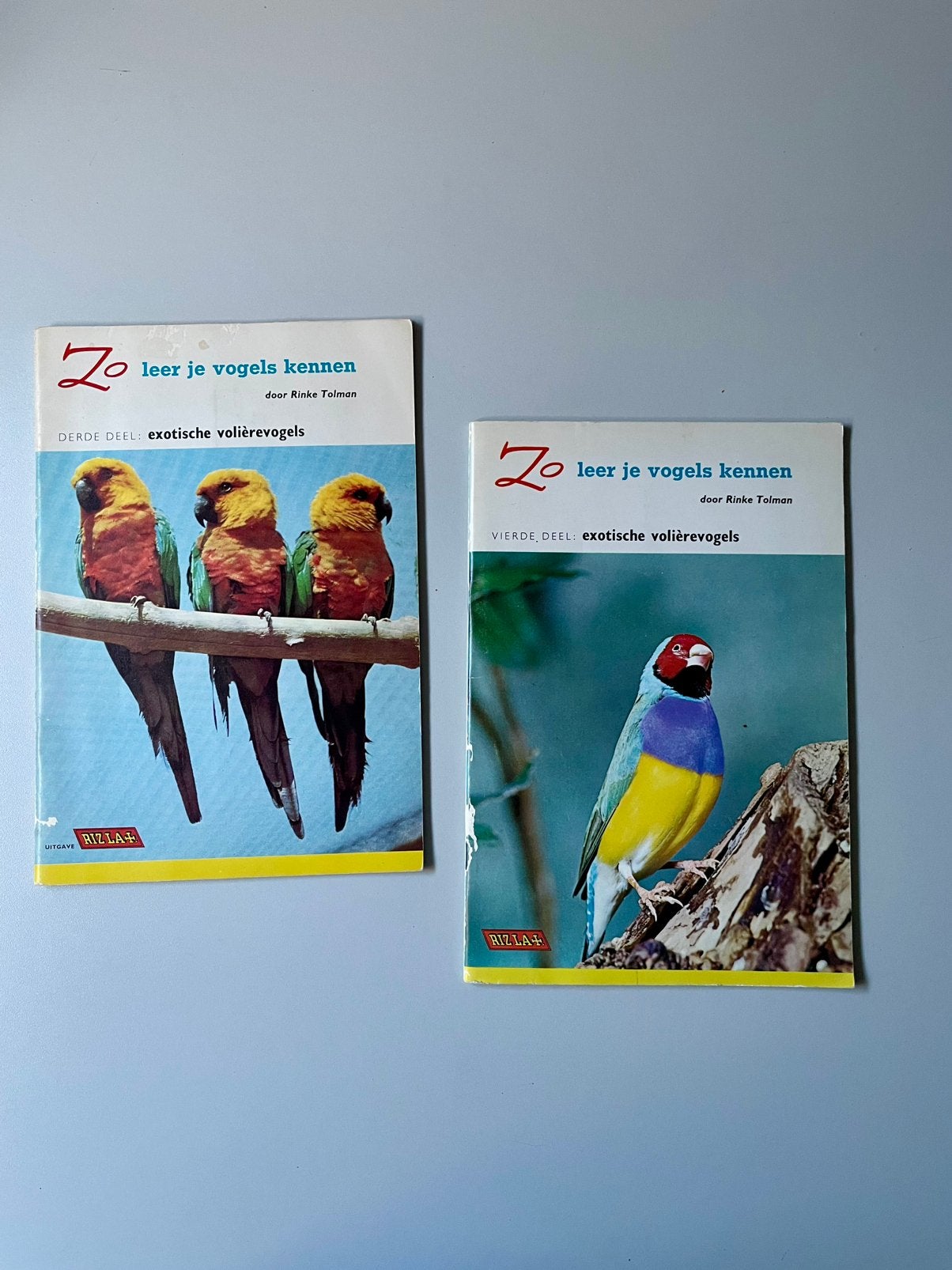 Exotische voliete vogels, Ophalen of Verzenden, Zo goed als nieuw, Vogels