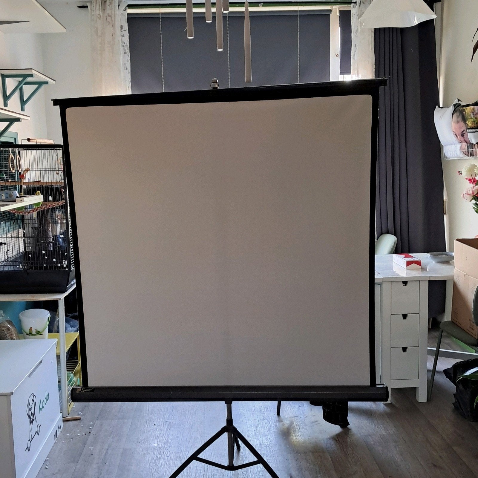 Vintage film projectiescherm, Ophalen, Handmatig, Gebruikt