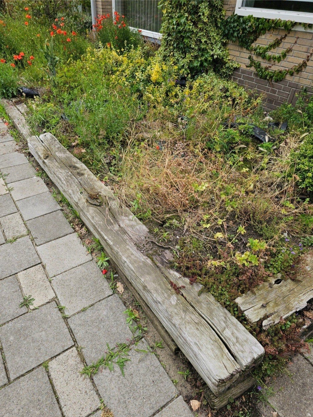 GRATIS houten bielzen, Ophalen, Gebruikt, 25 cm of meer, Biels