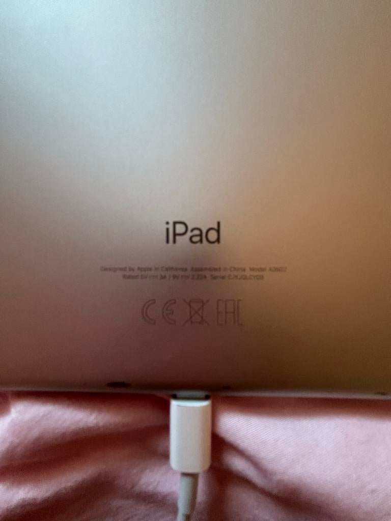 Apple iPad 2021 256gb (Model A2602) - Gebruikt met hoes, Gebruikt, Apple iPad, Wi-Fi, Zilver