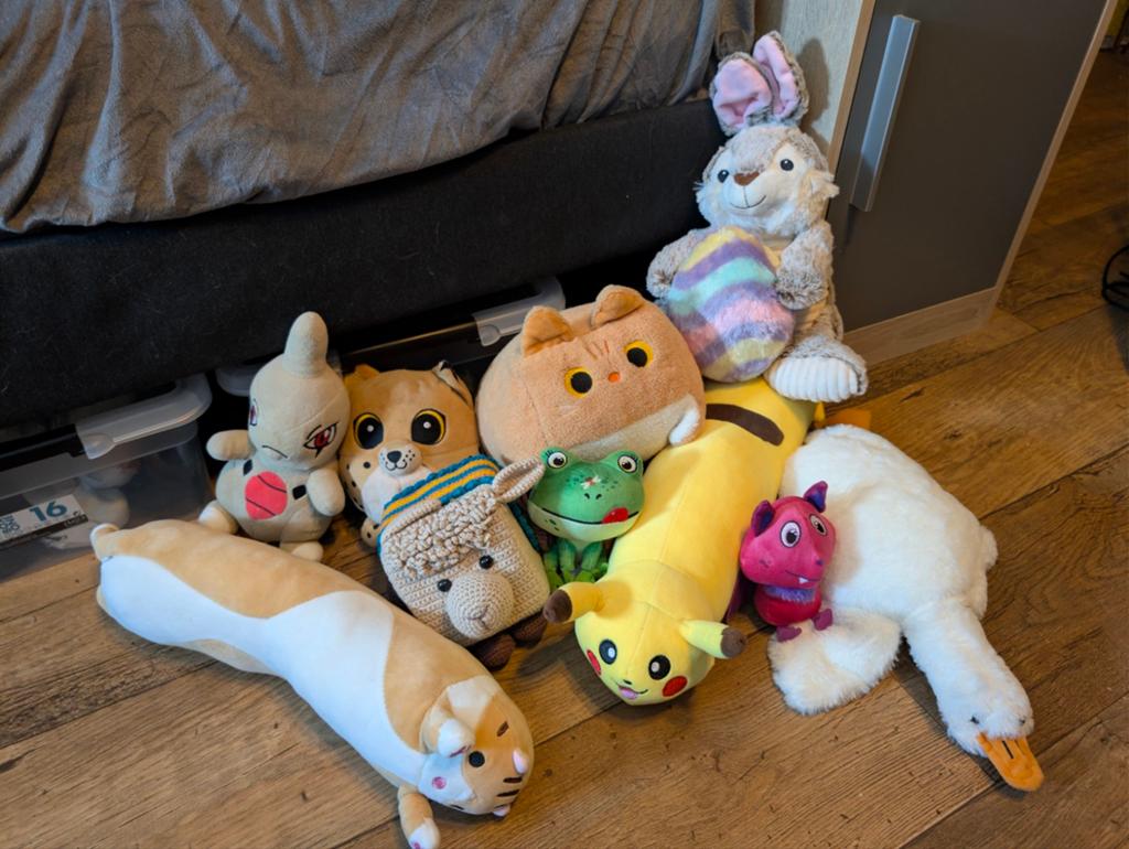 Een stel knuffels, Gebruikt, Overige merken, Overige karakters, Overige typen