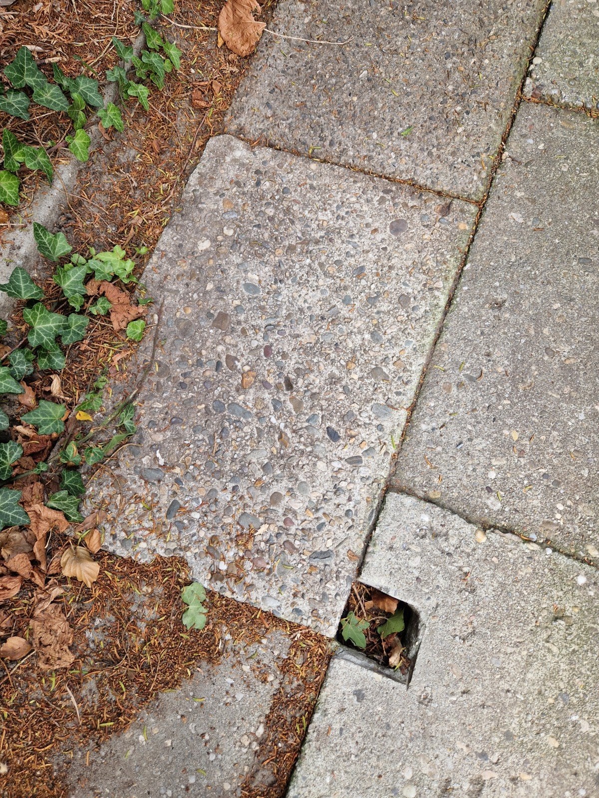 grindtegels 60x40 en 50x50cm, Ophalen of Verzenden, Gebruikt, Beton, Terrastegels