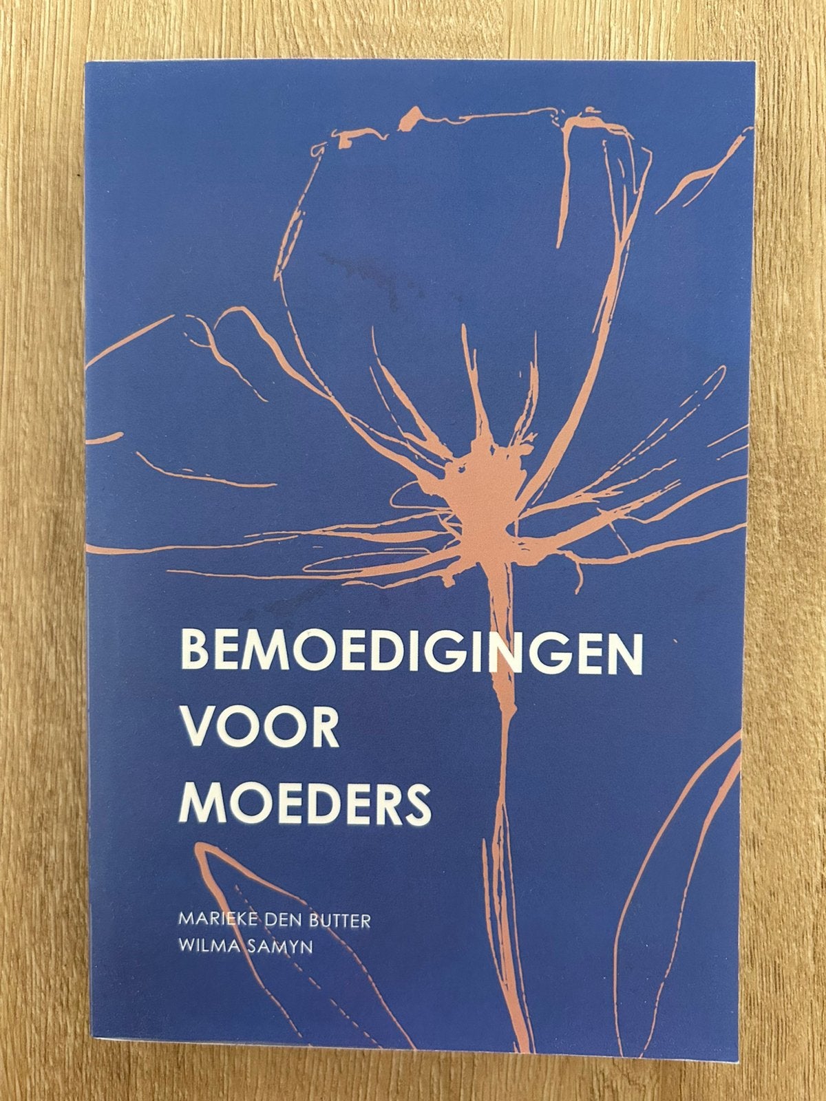 Bemoedigingen voor moeders - Marieke d Butter en Wilma Samyn