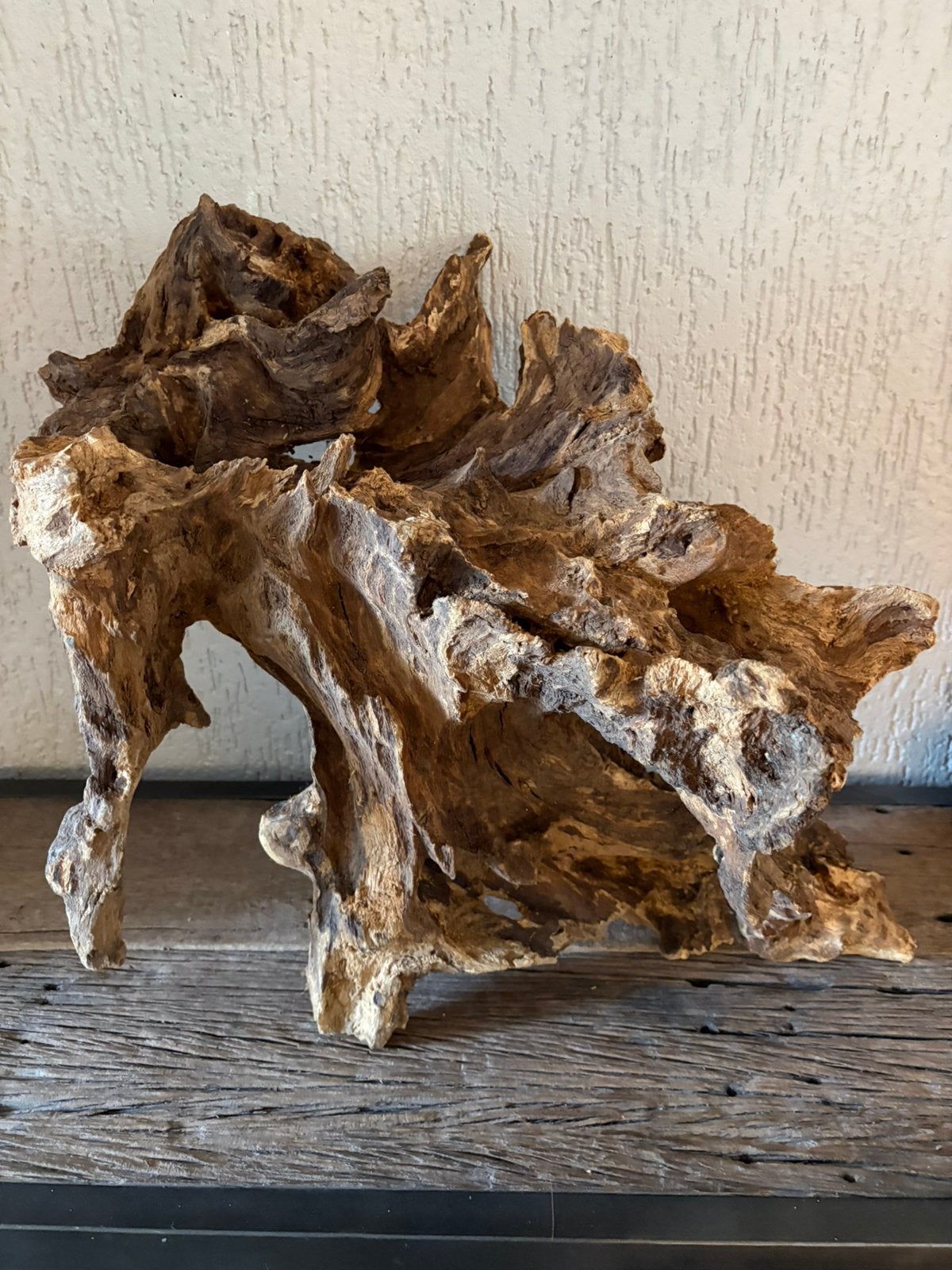 Mooie stronk, Ophalen, Zo goed als nieuw, Hout