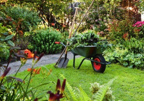 tuinman  bied  zich aan, Ophalen of Verzenden