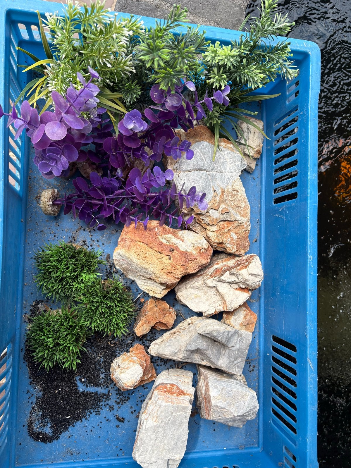 Aquarium accesoiren, Ophalen, Plant(en), Steen of Hout