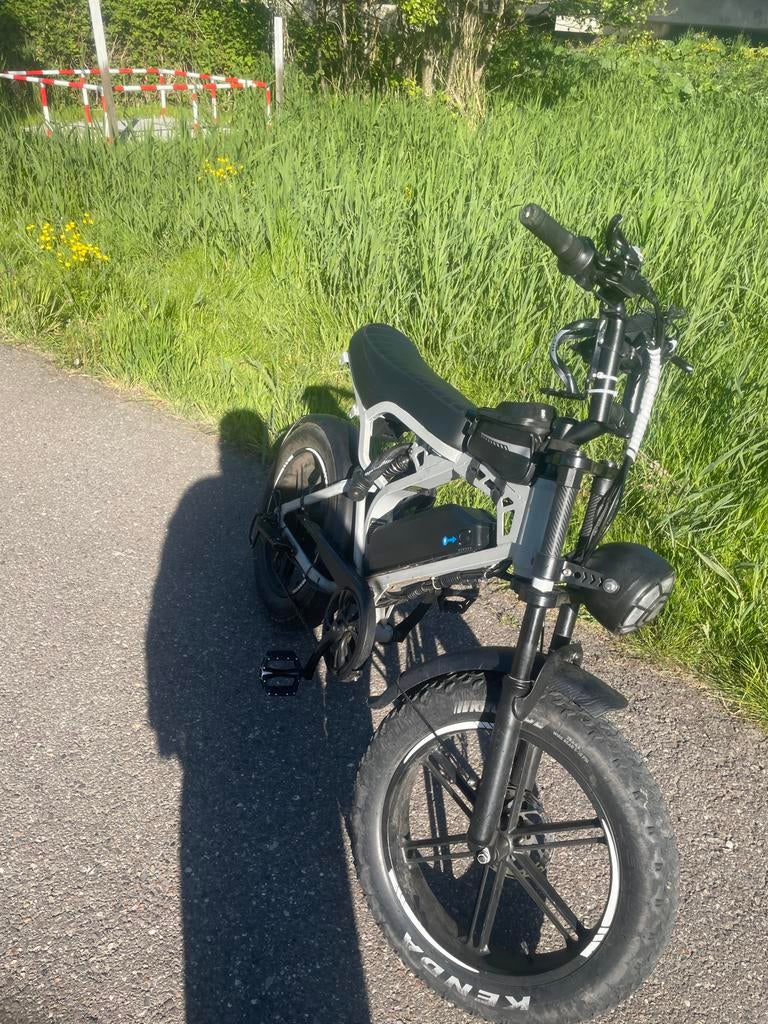 Stoere elektrische fatbike met dikke banden [OOK TE RUIL], Fietsen en Brommers, Fietsen | Heren | Herenfietsen, Versnellingen