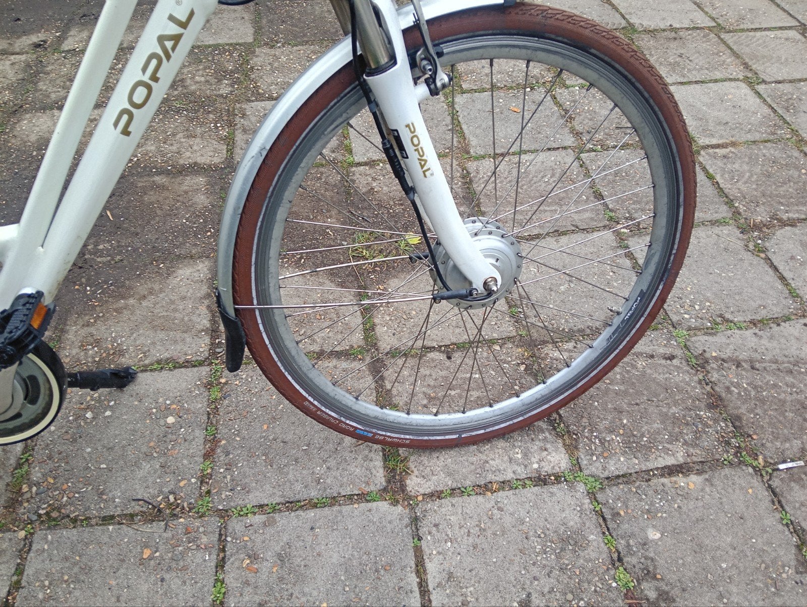 Popal E-volution elektrische fiets - Nette staat, Overige merken, Gebruikt, Ophalen of Verzenden, 51 tot 55 cm