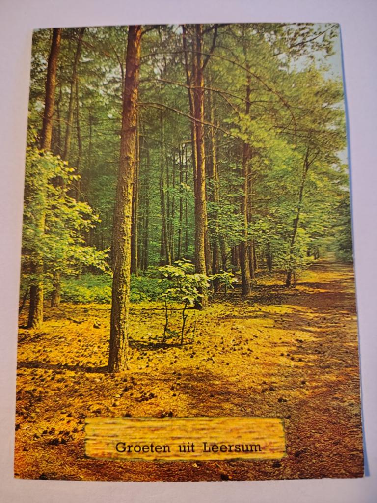 Leersum, Ophalen of Verzenden, 1940 tot 1960, Gelderland