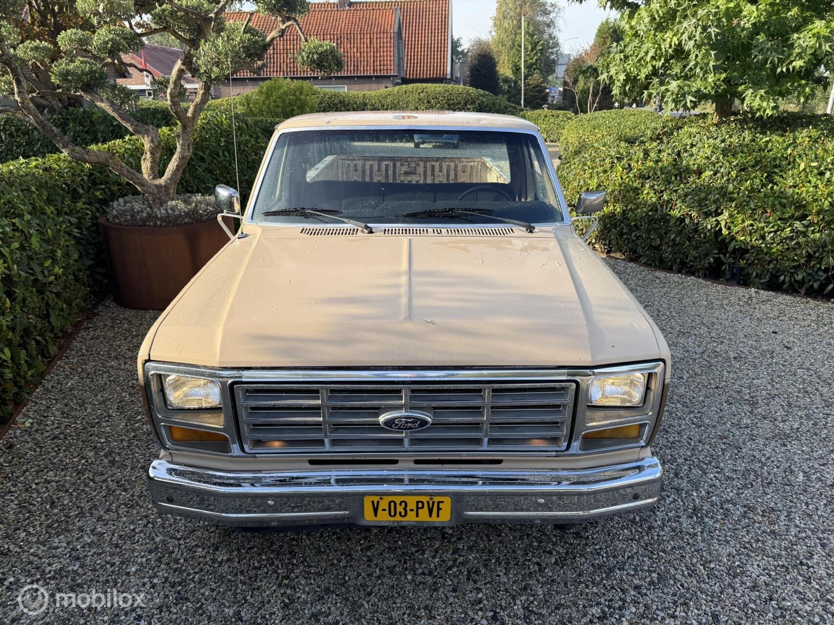 Ford F-150 5.0 V8 EFI Automaat 1986, foto 7